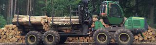 Timber Extraction