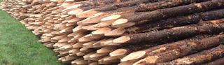 Timber Piles